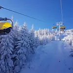 Biala Perla Sunny Mountain 601 Sienna (Klodzko)