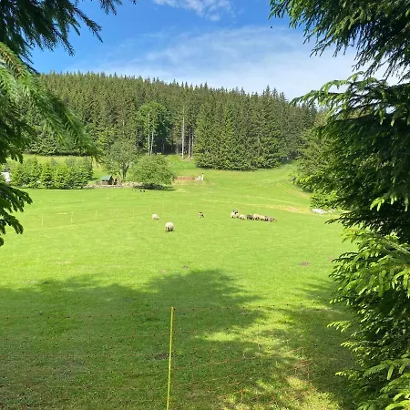 Biala Perla Sunny Mountain 601