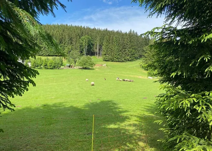 Biala Perla Sunny Mountain 601